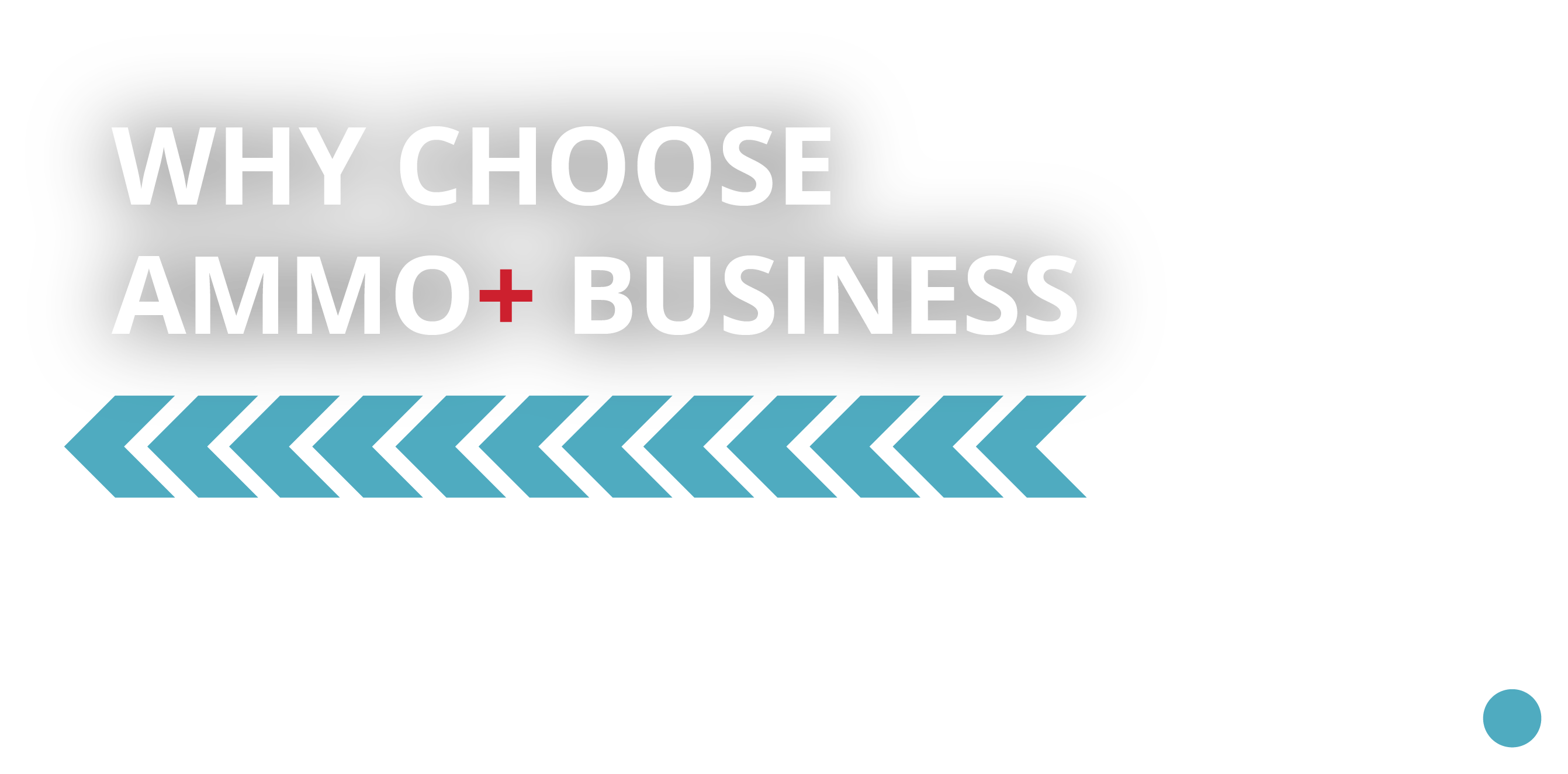 Why Choose Ammo Plus Business